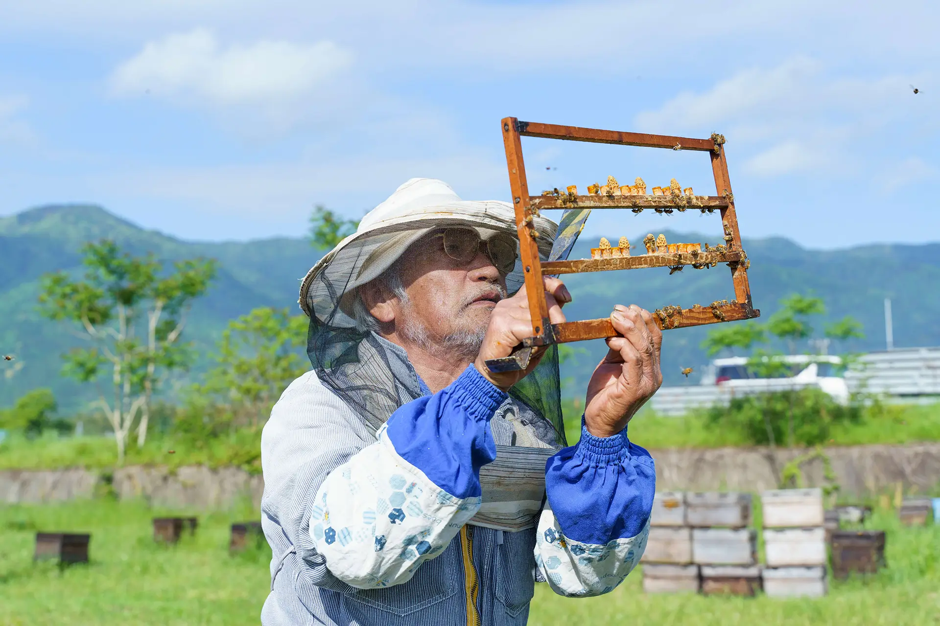 Flower Honey - Photo