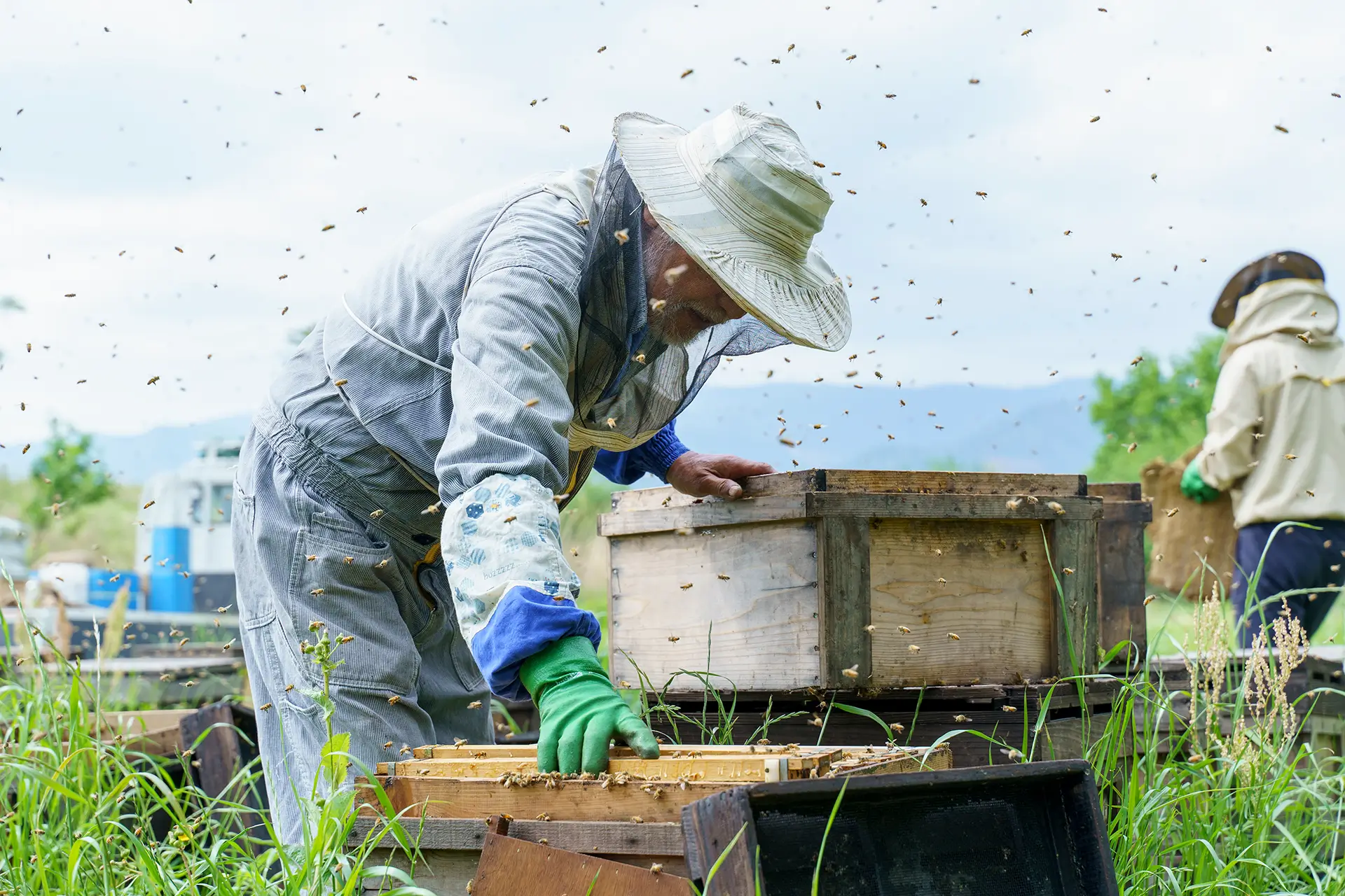 Flower Honey - Photo