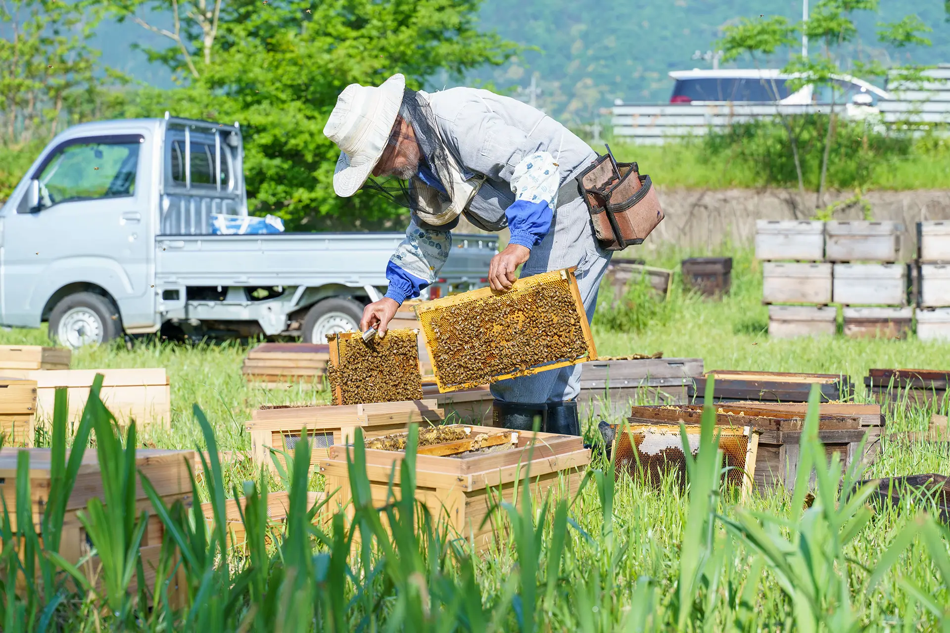 Flower Honey - Photo