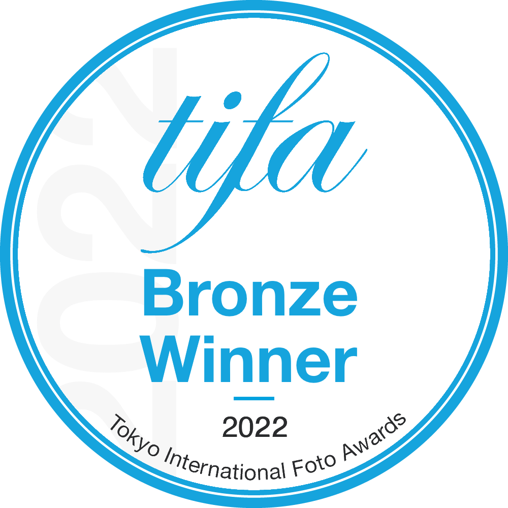 TIFA 2022 Bronze in Fine Art-Abstract